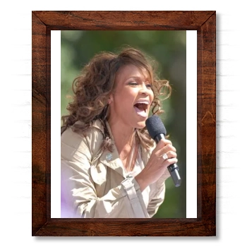 Whitney Houston 14x17