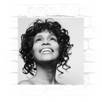 Whitney Houston Metal Wall Art