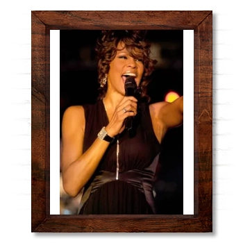 Whitney Houston 14x17