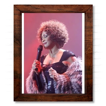 Whitney Houston 14x17