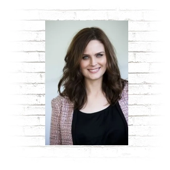 Emily Deschanel Poster