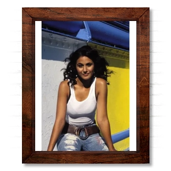 Emmanuelle Chriqui 14x17