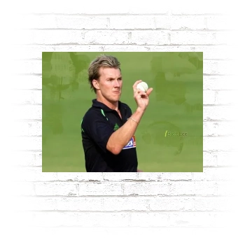 Brett Lee Poster