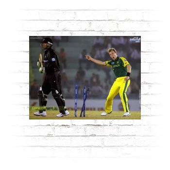 Brett Lee Poster