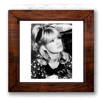 Brigitte Bardot 6x6