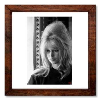 Brigitte Bardot 12x12