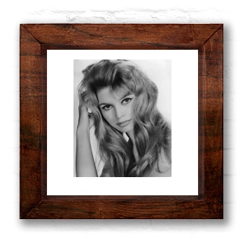 Brigitte Bardot 6x6