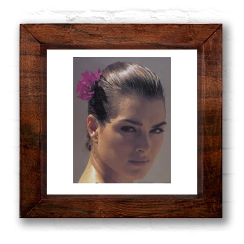 Brooke Shields 6x6