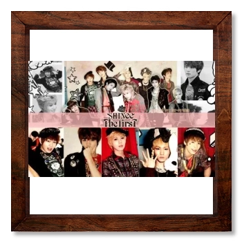 SHINee 12x12