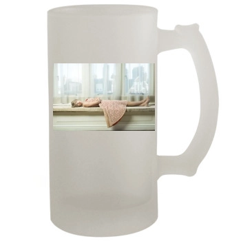 Taylor Swift 16oz Frosted Beer Stein