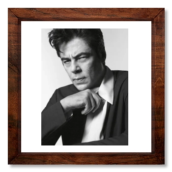 Benicio del Toro 12x12