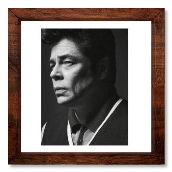 Benicio del Toro 12x12