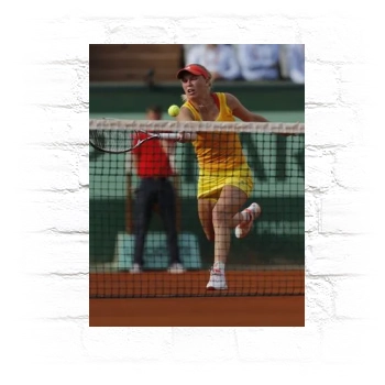 Caroline Wozniacki Metal Wall Art