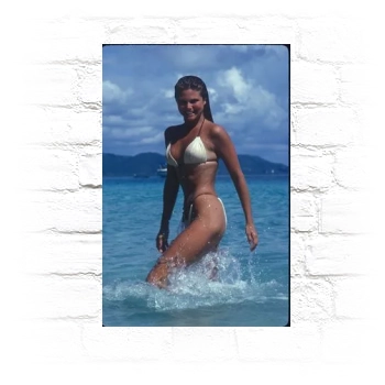 Christie Brinkley Metal Wall Art