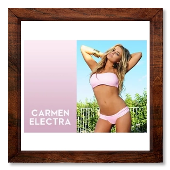 Carmen Electra 12x12
