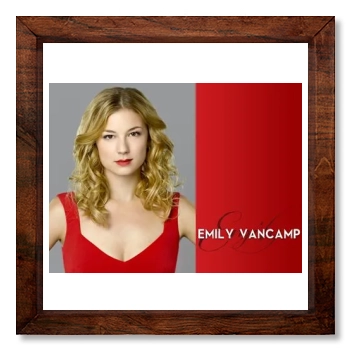 Emily VanCamp 12x12