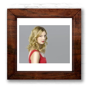 Emily VanCamp 6x6