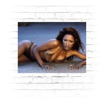 Traci Bingham Poster