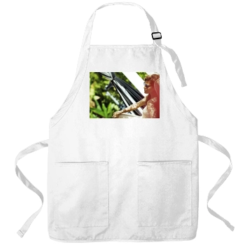 Eva Mendes Apron