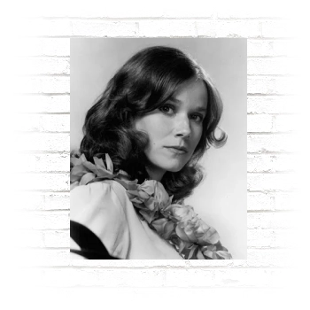 Barbara Hershey Poster