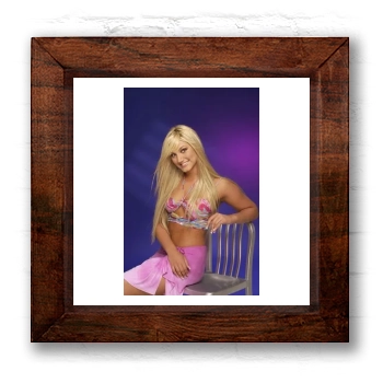 Brooke Hogan 6x6