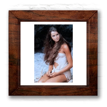 Brooke Shields 6x6