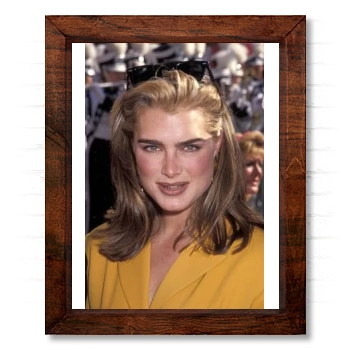 Brooke Shields 14x17