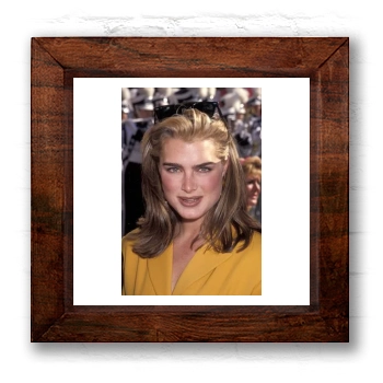 Brooke Shields 6x6