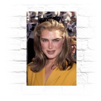 Brooke Shields Metal Wall Art