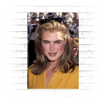 Brooke Shields Poster