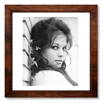 Claudia Cardinale 12x12