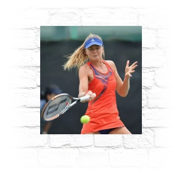 Daniela Hantuchova Metal Wall Art