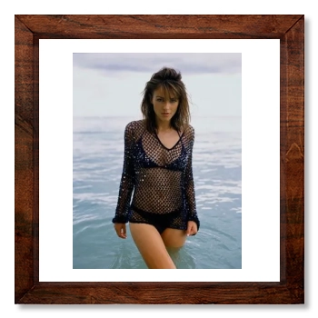 Elizabeth Hurley 12x12