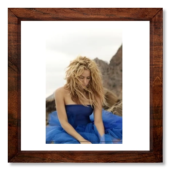 Shakira 12x12