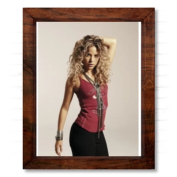 Shakira 14x17