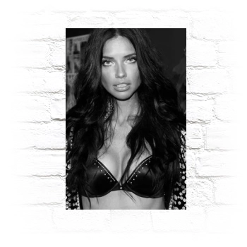 Adriana Lima Metal Wall Art