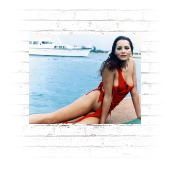 Barbara Carrera Poster