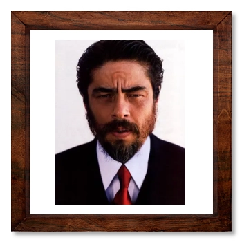 Benicio del Toro 12x12