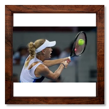 Caroline Wozniacki 12x12