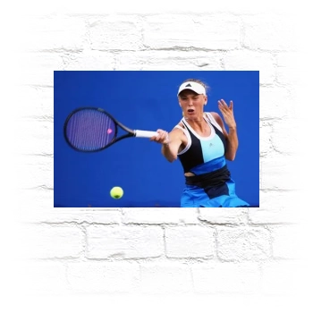 Caroline Wozniacki Metal Wall Art