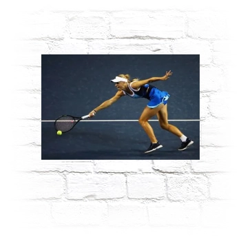 Caroline Wozniacki Metal Wall Art