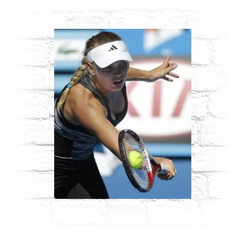 Caroline Wozniacki Metal Wall Art