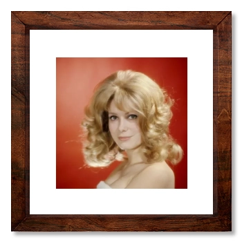 Catherine Deneuve 12x12