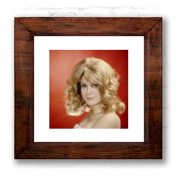 Catherine Deneuve 6x6