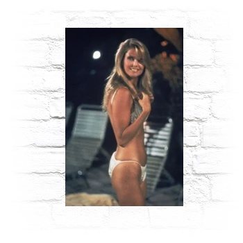 Christie Brinkley Metal Wall Art