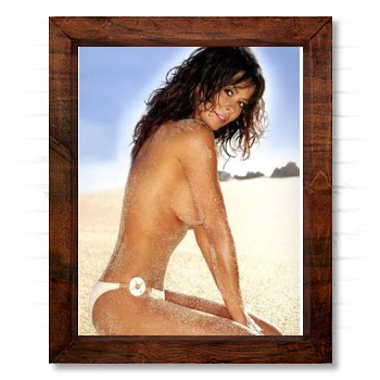 Brooke Burke 14x17