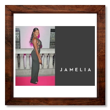 Jamelia 12x12