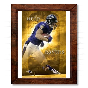 Baltimore Ravens 14x17