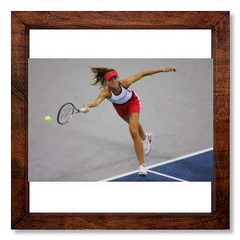 Daniela Hantuchova 12x12