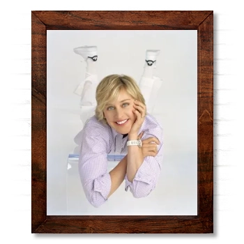 Ellen DeGeneres 14x17